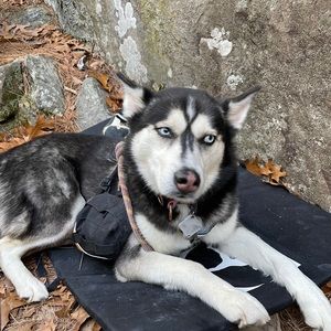 Meet your Posher, Kelsey